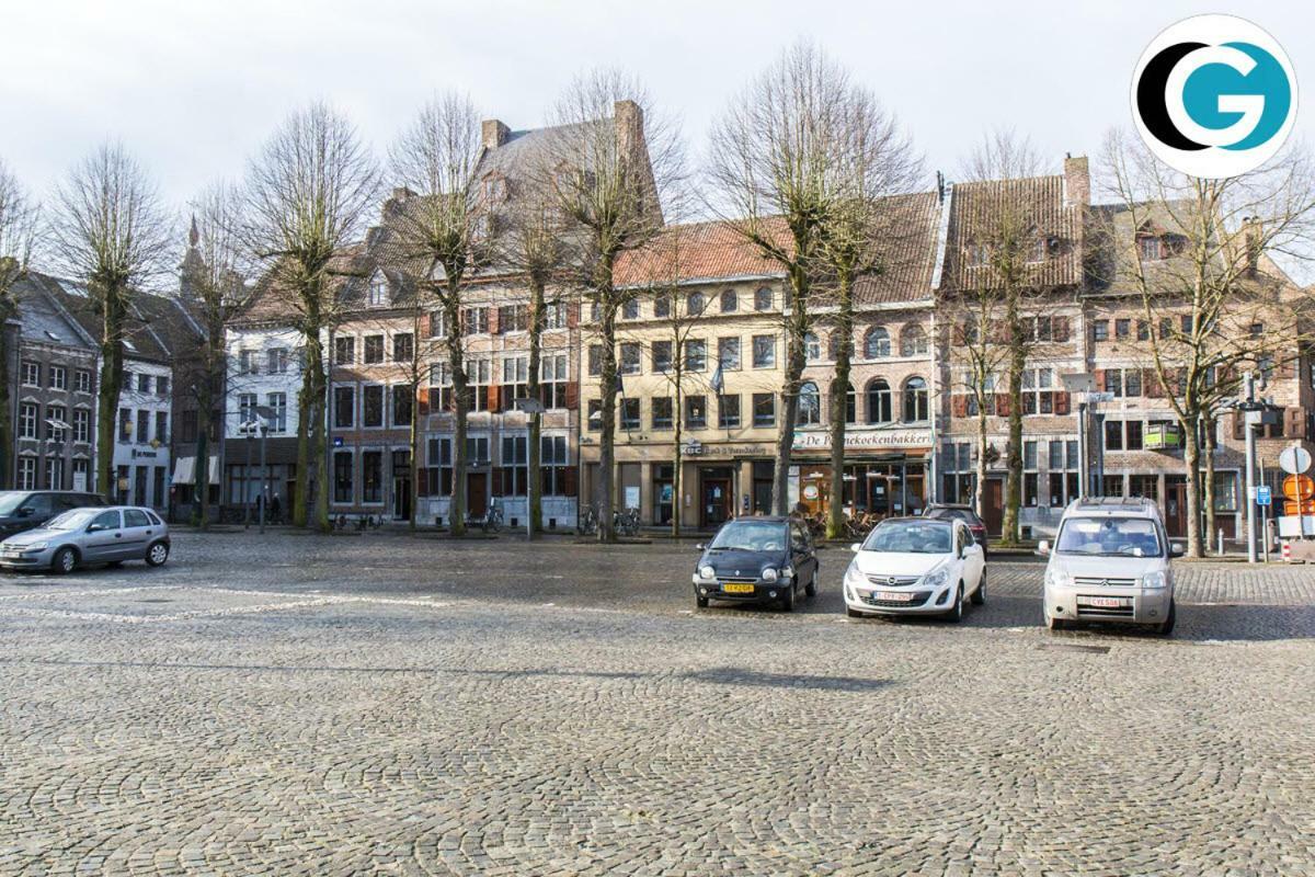 Villa Mooi Maasland Maaseik Exterior photo